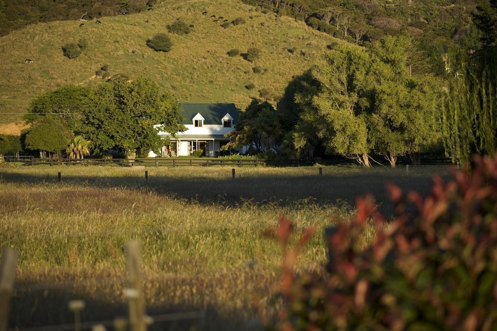 Jacaranda Lodge Coromandel Esterno foto