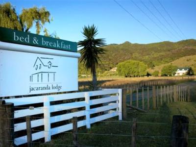 Jacaranda Lodge Coromandel Esterno foto