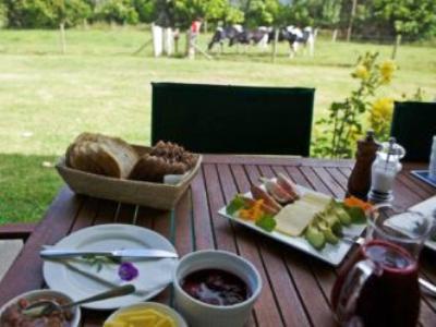Jacaranda Lodge Coromandel Esterno foto